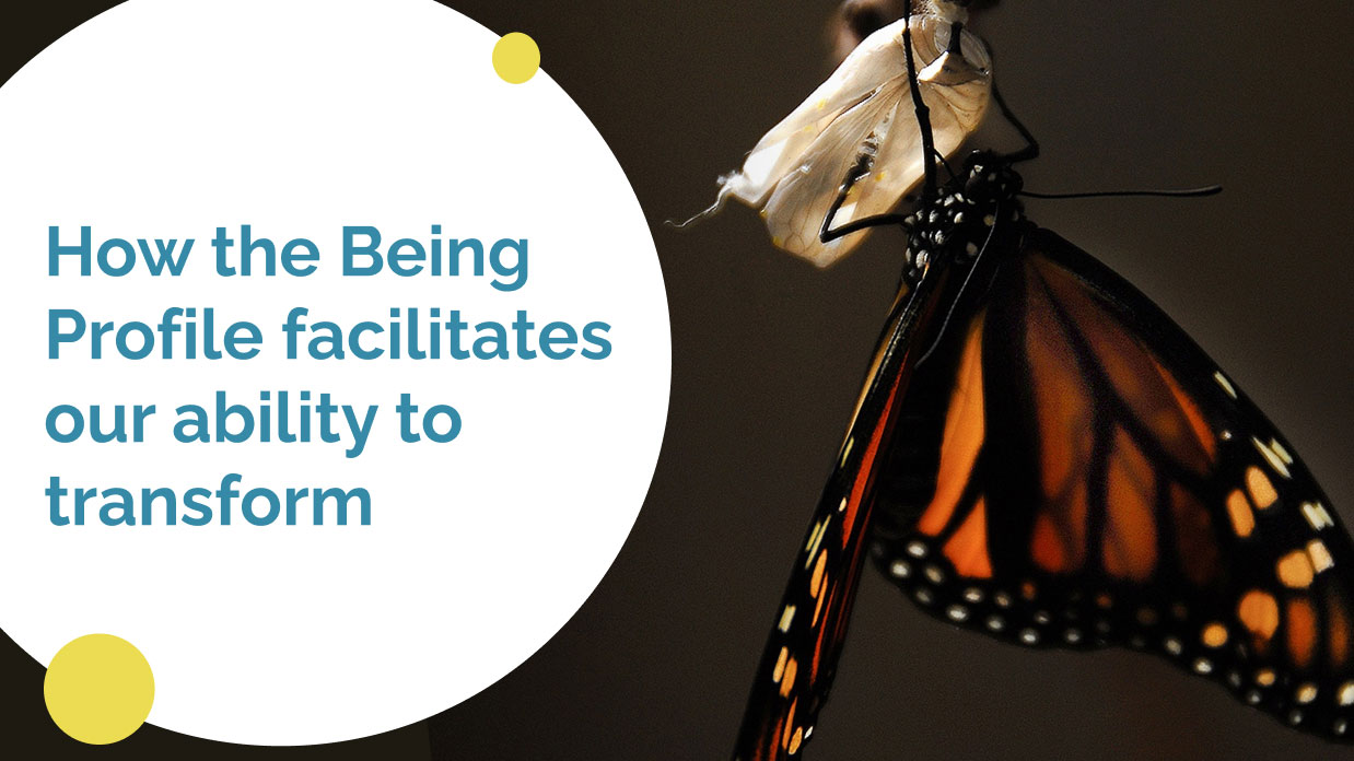 How the Being Profile facilitates our ability to transform